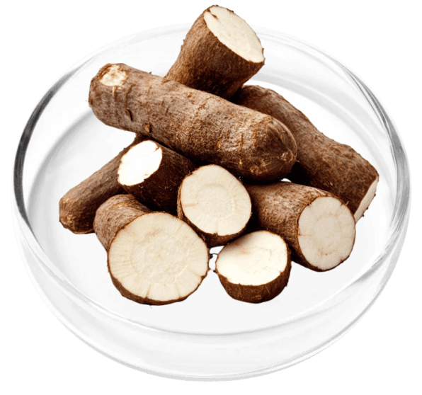 DigestiStart Ingredients