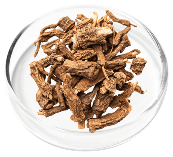 DigestiStart Ingredient