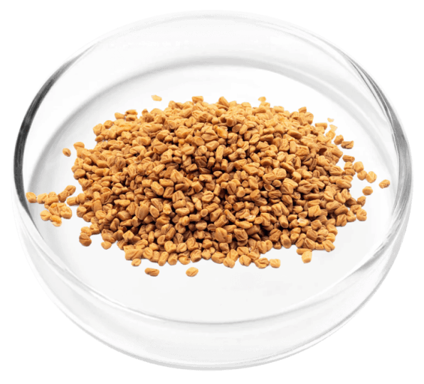 DigestiStart Ingredients 3