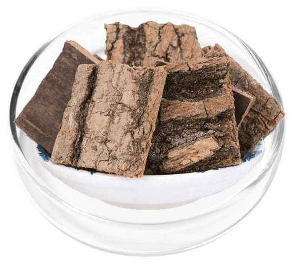 DigestiStart Ingredient 4