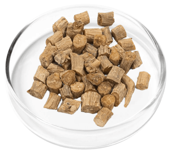 DigestiStart Ingredient 6