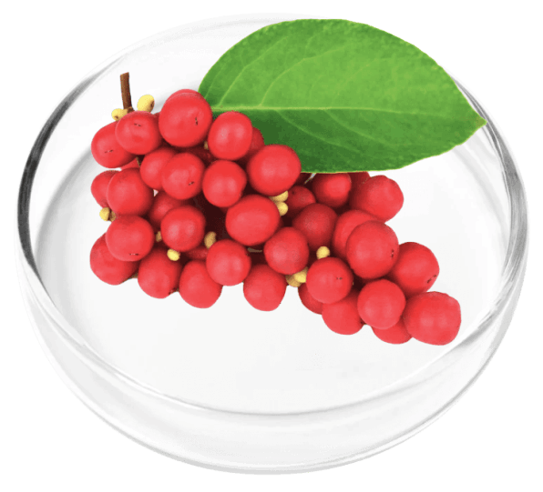 DigestiStart Ingredients